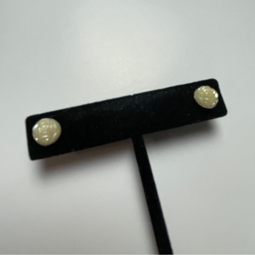 ⭐️FREE WITH PURCHASE⭐️ 
Rosette Studs